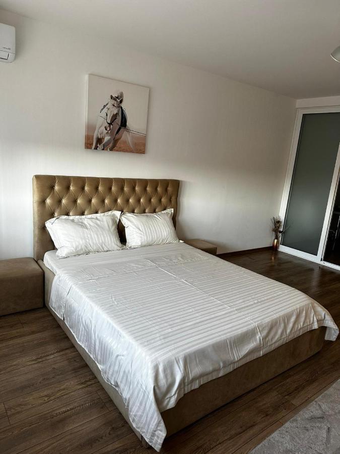 Anastasia Apartament Apartment Oradea Bagian luar foto